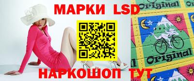 гидра Можга