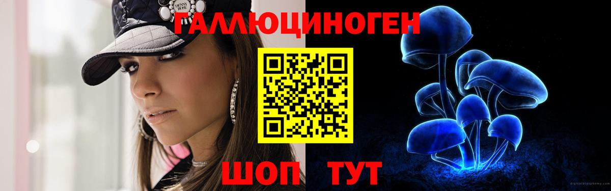 Псилоцибиновые грибы GOLDEN TEACHER Анапа
